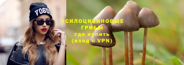 дмт Армянск