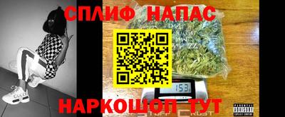 сатива Кулебаки