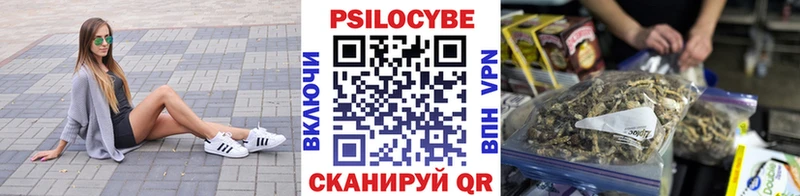 блэк спрут   Сибай  Галлюциногенные грибы прущие грибы 