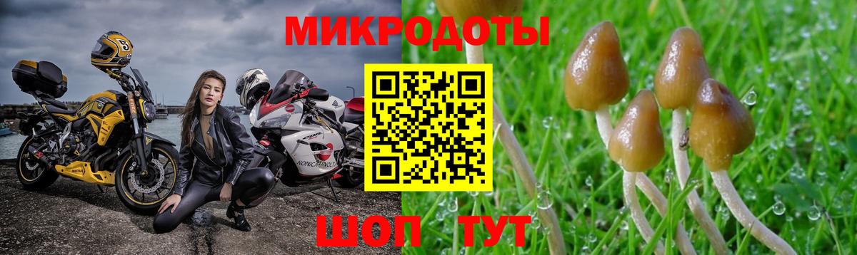 Галлюциногенные грибы мицелий  Вход с VPN  Сибай  Галлюциногенные грибы MAGIC MUSHROOMS 
