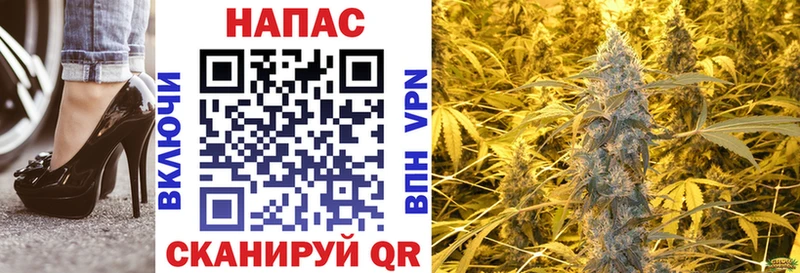 Конопля Ganja  Сибай 
